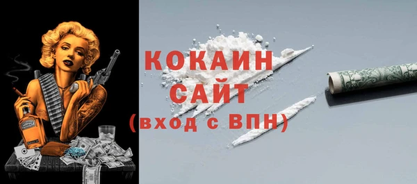 шишки Арсеньев