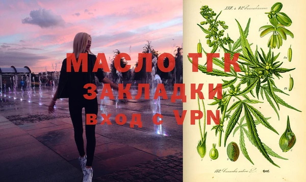 молекула духа Алексин