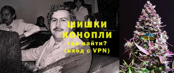 молекула духа Алексин