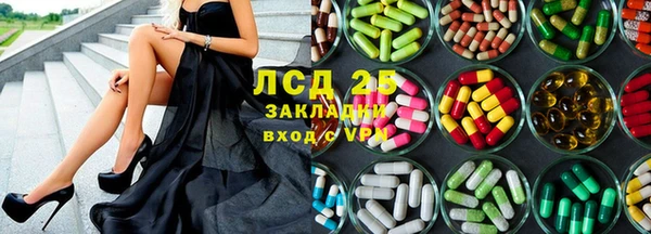 сатива Алзамай