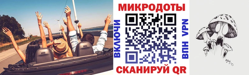 Галлюциногенные грибы мицелий  Болгар 